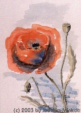 &QUOT;Immer noch Mohn&QUOT;, 
Aquarell auf B�tten, 1993
Copyright by Joachim Mink, Weinheim