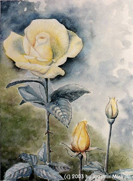 &QUOT;roses forever&QUOT;, Aquarell auf B�tten, 
Copyright by Joachim Mink, Weinheim